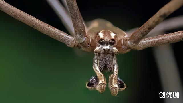 佛系|佛系减肥，顺其自然的3个星座，常立“Flag”，但却越减越肥