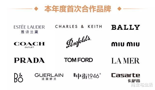 88vip|不计成本的补贴,阿里为什么一定要引爆88VIP会员经济