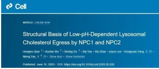 「颜宁」13天前，清华\留不住\的天才女教授颜宁，远走美国后又曝新情况