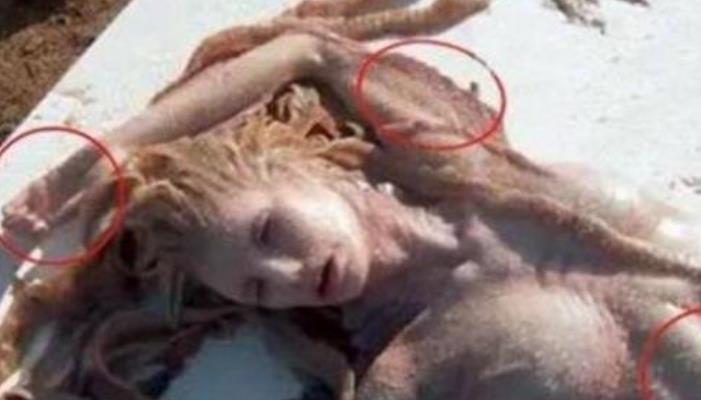 ▲世界上有没有美人鱼？40年前，中国捕捞到的奇异生物是什么？