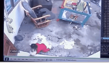 被三只恶狼死死围住，猫咪勇敢将对方击退，保护主人安全