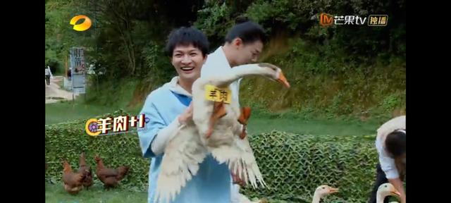 明星|不是所有真人秀，都能“秀”：95后偶像，触犯“生命权”的逆鳞