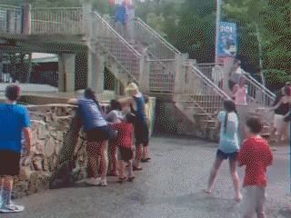 姚晨|“所有人都恨尹志平，但为什么小龙女不恨他？”哈哈