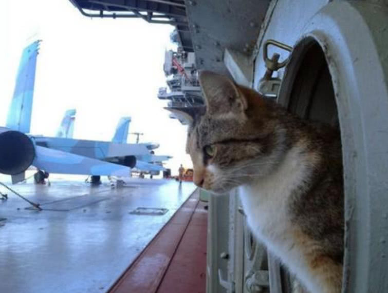 「」如果舰员不小心从航母上掉下去，还能救得上来吗？答案很现实