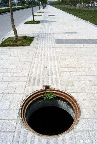 凤凰WEEKLY|“我不歧视残疾人，但我觉得他们最好没事别出门”