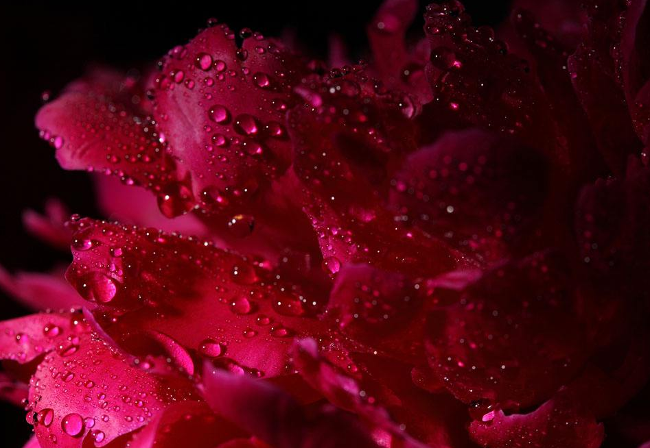 生肖▲3生肖你的福气来了，6月下旬有大囍迎来运势上吉，快来接“财”