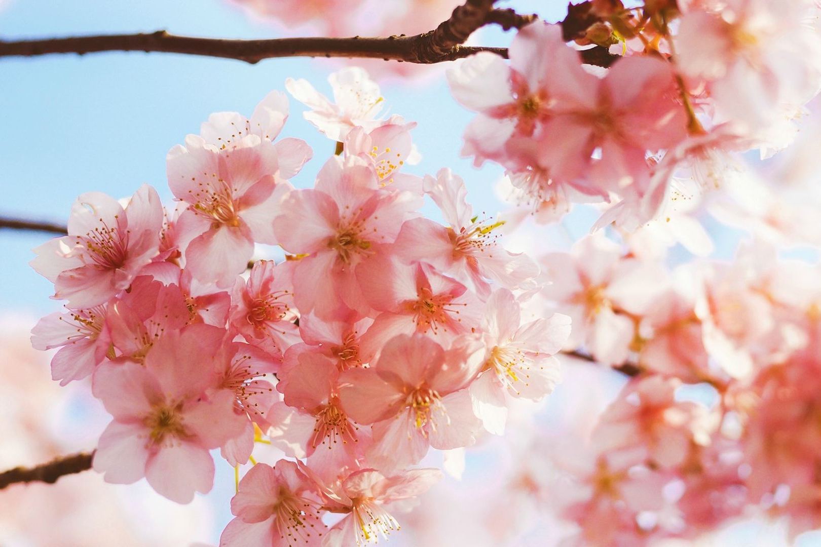 星座女|头脑精明,驭夫有道的星座女,擅长恩威并施,让另一半服服帖帖