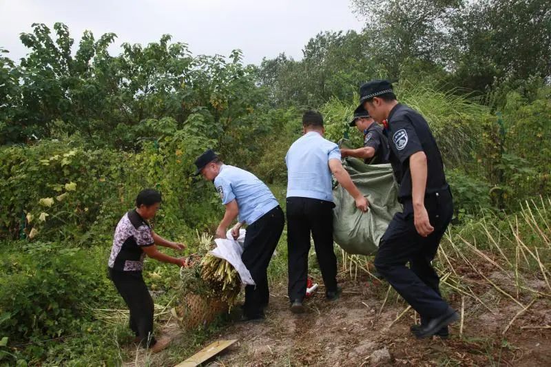 ＂原＂重庆政法|史上首次，重庆启动洪水防御Ⅰ级响应