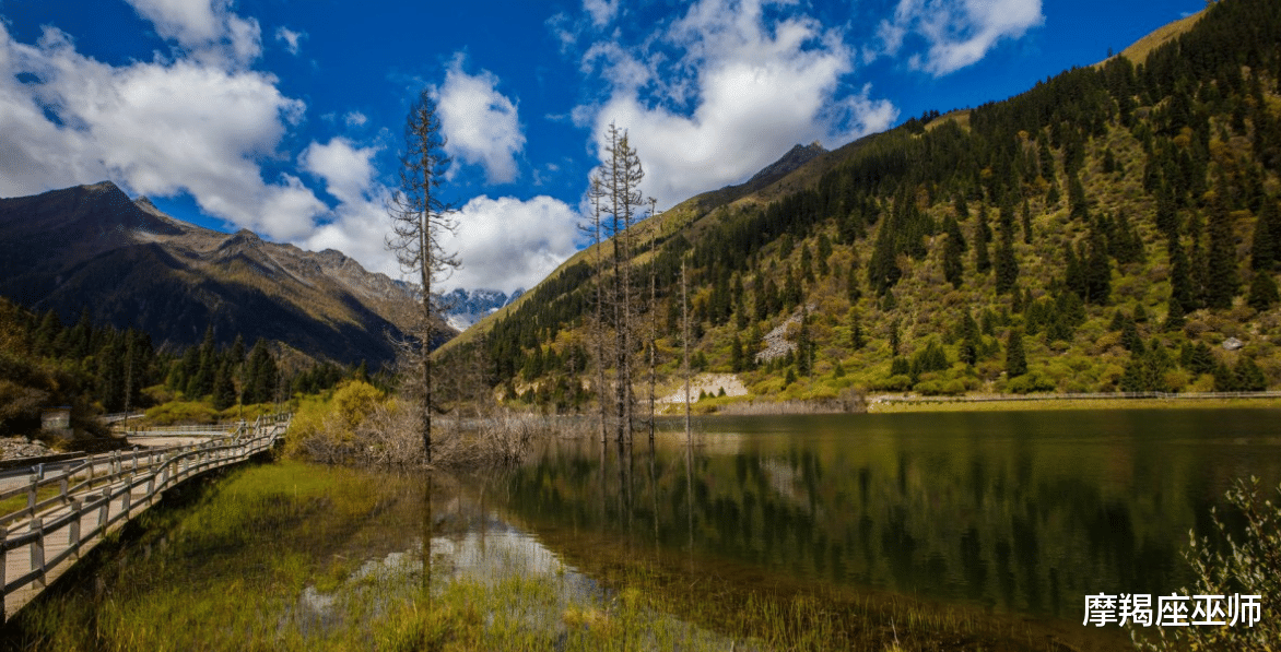 生肖|11月底，旧情人回头，情之为伤，再续不了情，此生再爱一回