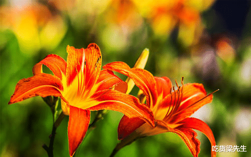 [生肖]分手后，很快就会忘记痛苦，过得更好，很快释然的四大生肖女