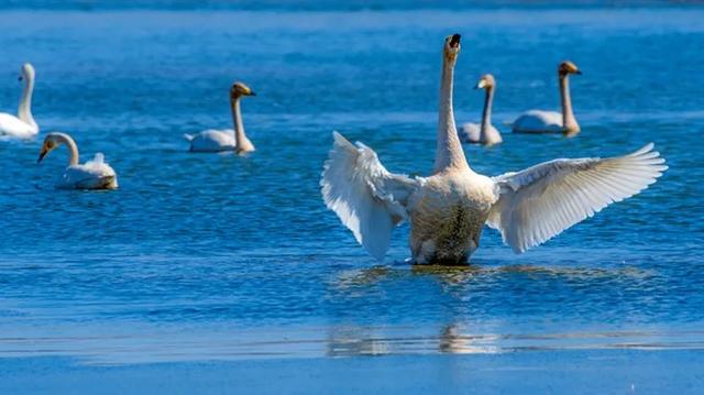 天池|国内九大绝美湖泊，美到不敢相信自己的眼睛！不去看看，后悔一生