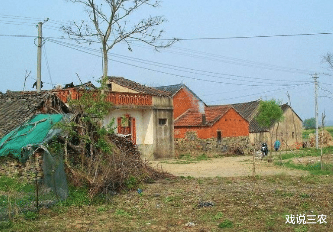 戏说三农|8月起，确权大提速！宅基地摸底+排查！4种情况或被强制收回？