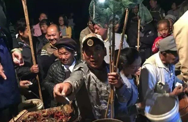 魔花螳螂|进口玩偶包藏祸心！数千魔花螳螂险些进入我国，外来物种不得不防