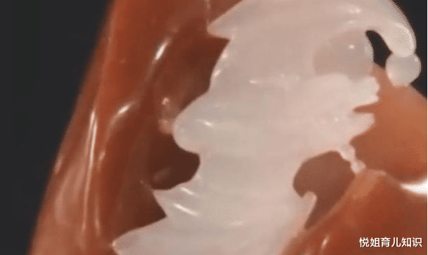 [金丝玉]5年前捡到一颗大石头, 花2万元雕刻, 专家灯光一打: 福从天降