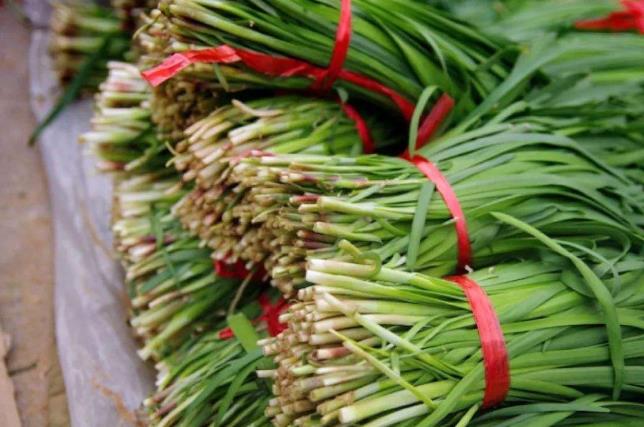 「疾病」为什么说头茬韭菜不能吃?吃头茬韭菜会生病?医生说出大实话!