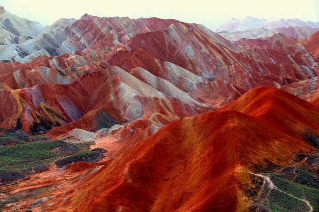 胡杨林|再过30天，全世界都要羡慕死中国了