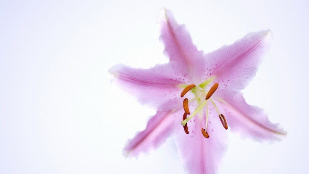 [运势]生肖鸡留心，6月末的6天需“警觉”了，当心酿成大祸！