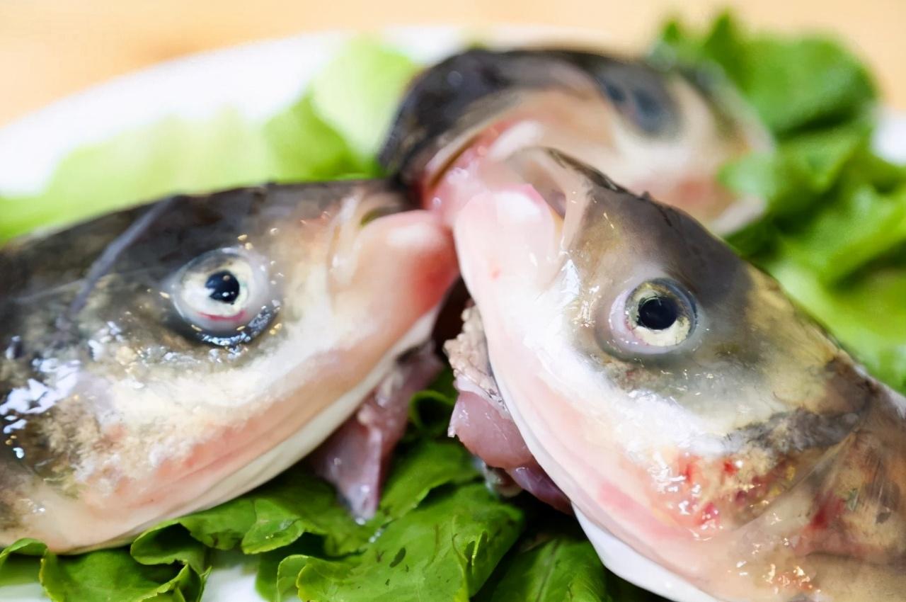 鱼头|鱼身上的这三块肉都是“毒王”,很多人都不知,还以为很宝贝!