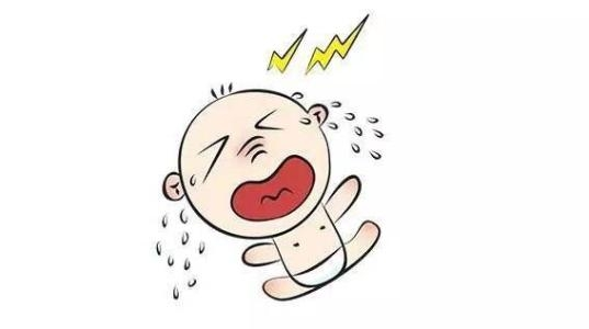 昆虫|为什么动物幼崽都不会嚎啕大叫, 而人类幼崽会?