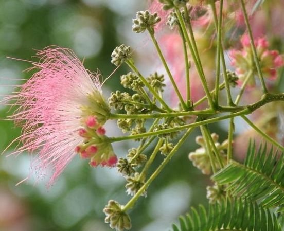 吉星|11月一到，4属相吉星傍身，贵人相助，双喜临门，生活美满