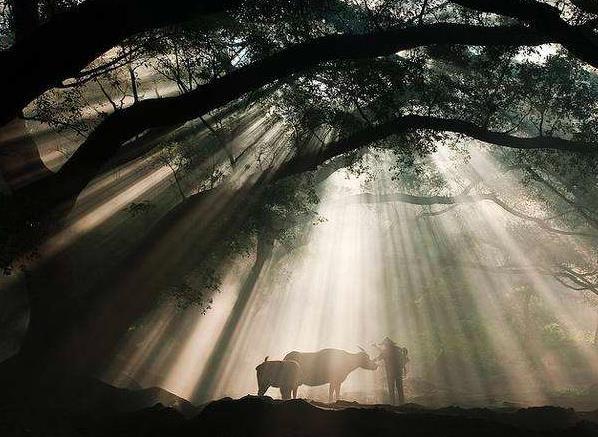 『』为什么高考能让穷人家的孩子改变自身阶层？过来人这样说