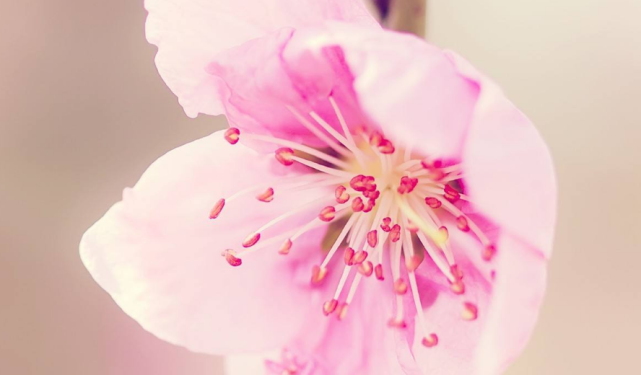 运势|9月5号开始此三属相运势暴涨,财运大开,事业红红火火