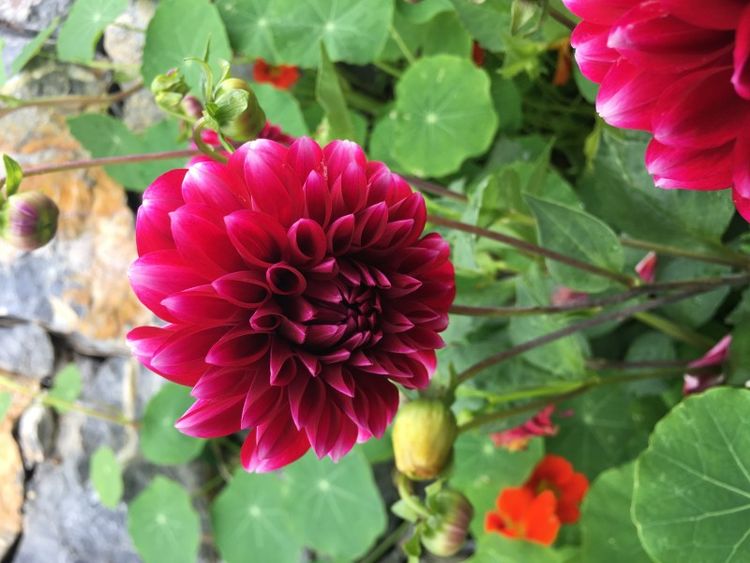 旧爱|8月下旬，分开越久越想念，真爱难抹去，与旧爱破镜重圆的4大星座