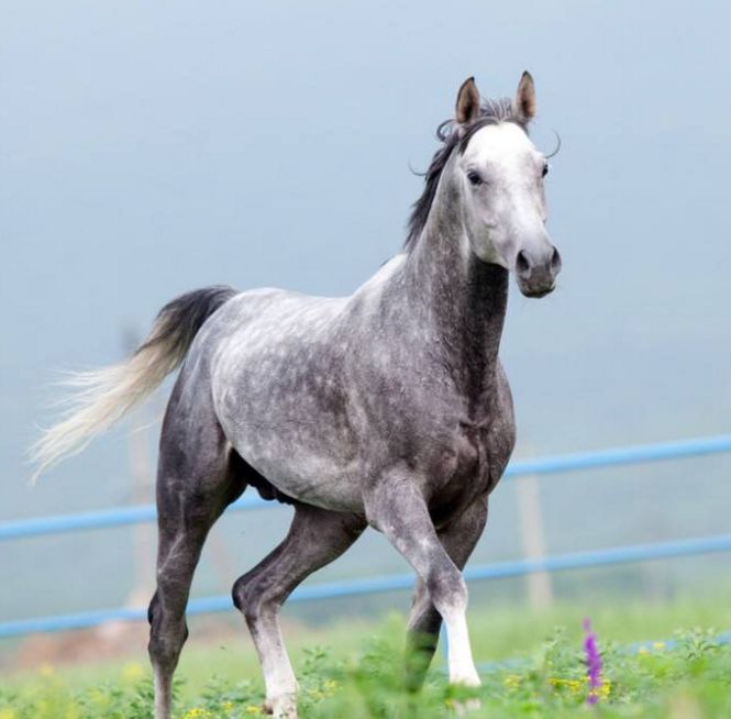 十二星座▲属马人，后天老天爷送你震天动地的喜，接不接随你！
