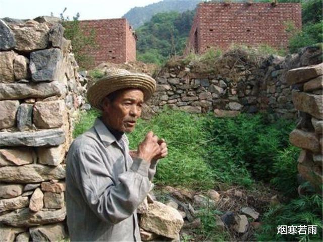 【二哥】把敌人引入埋伏圈的王小二,牺牲前他并不是一个人,还有人在目睹