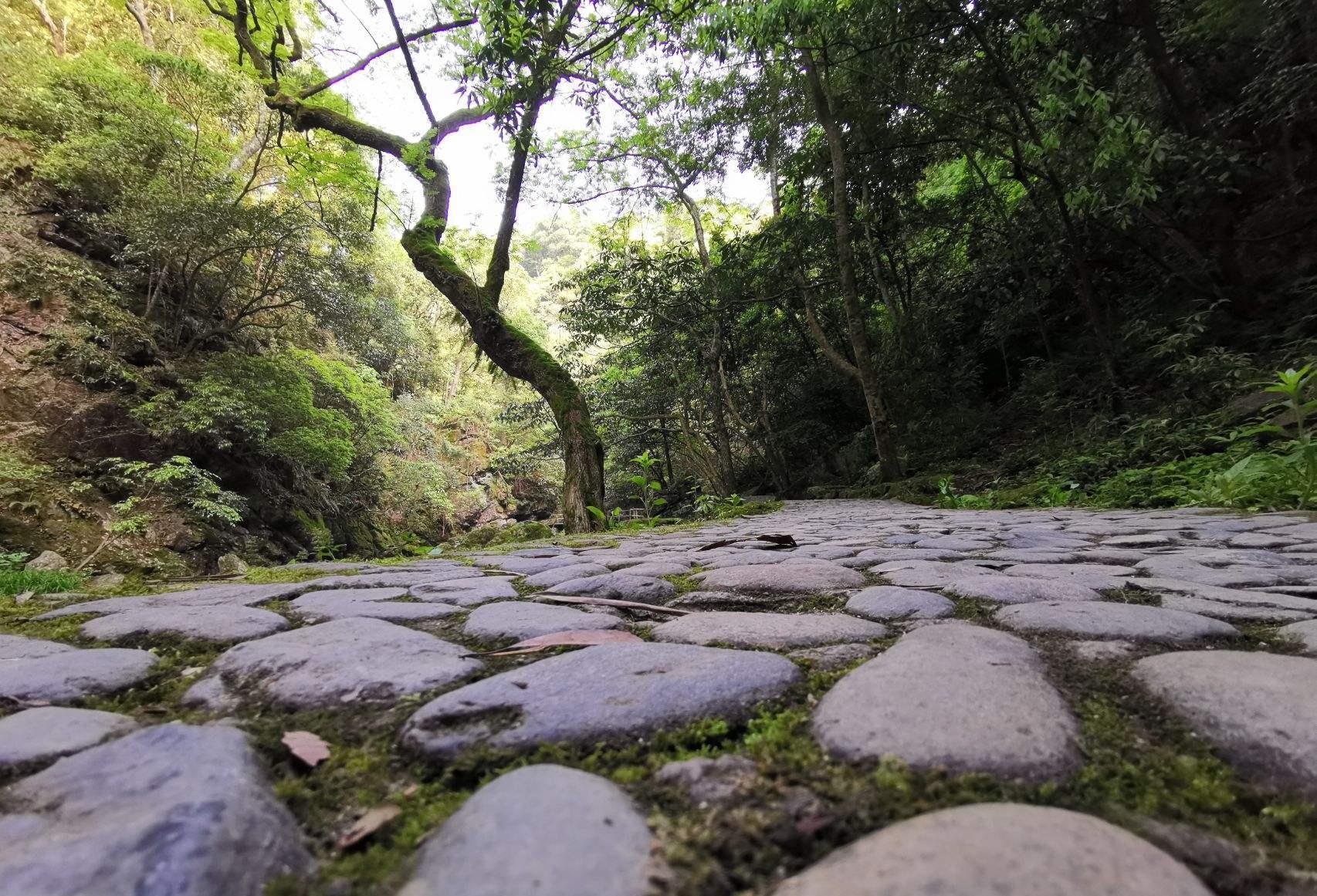 ##我国最适合养老的地方,原生态负氧富硒,一日三餐加住宿才80