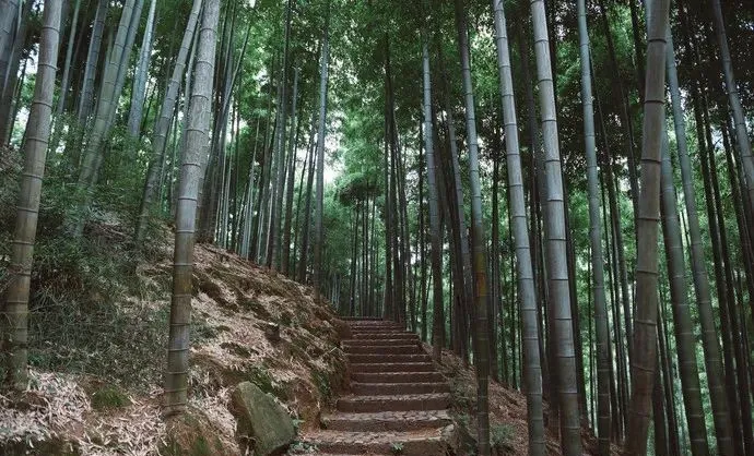 『旅行』适合五月出发的9个旅行地，第一个就心动