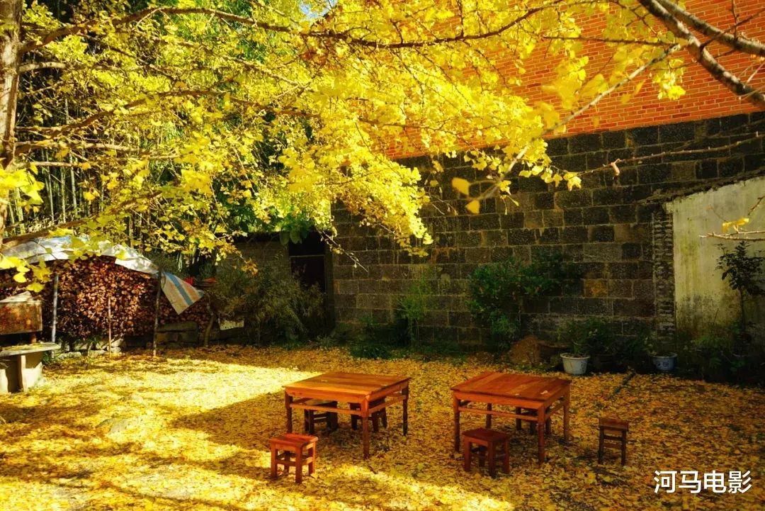 林芝|十月，我想去这10个地方