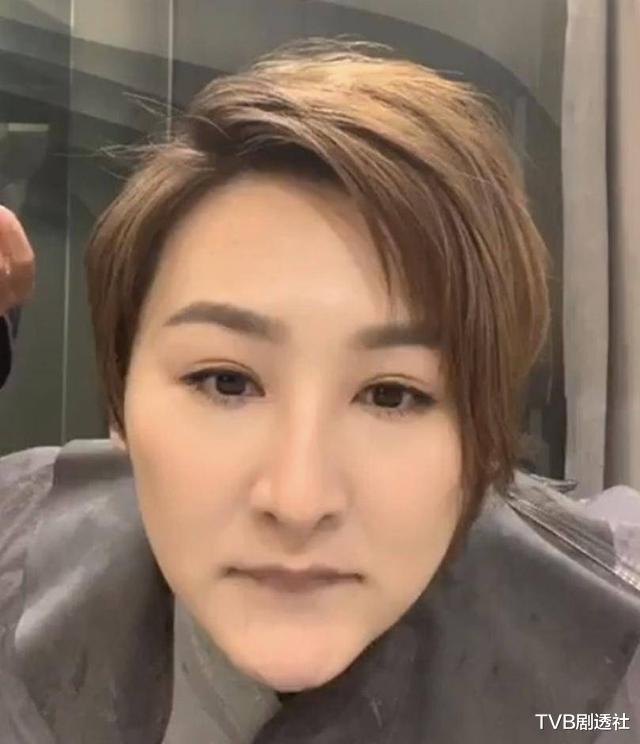 TVB@雷人!盘点香港娱乐圈十大发型车祸造型