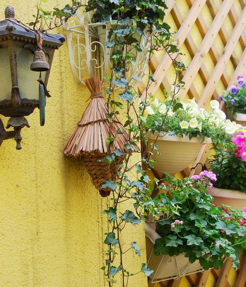 「」35㎡顶楼露台造园，不到一年，把家打造成了空中的“世外桃源”