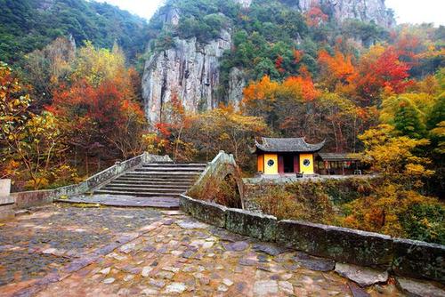 柿子|深藏在深山里的600年古村，漫山开遍红柿，美的如此意外！！