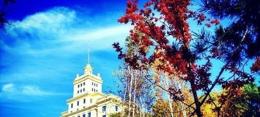 【】想学小语种,这所普通大学表现“亮眼”,高考生家长容易忽略