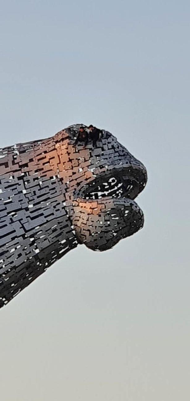 英国英鸟|英居民广场遛弯，竟发现俩男子在高空大马上“约会”，惊呼太凶险