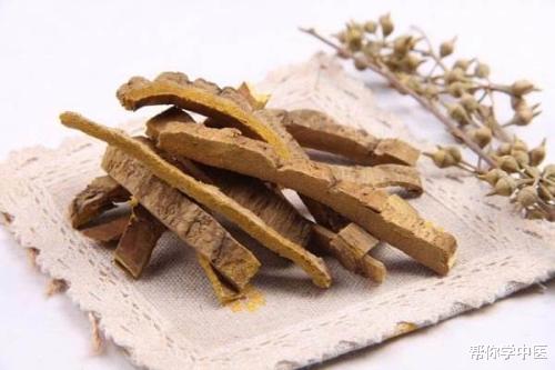 泽泻|坐骨神经痛，就是下半身有湿热！古方子，洗净坐骨神经，请学习