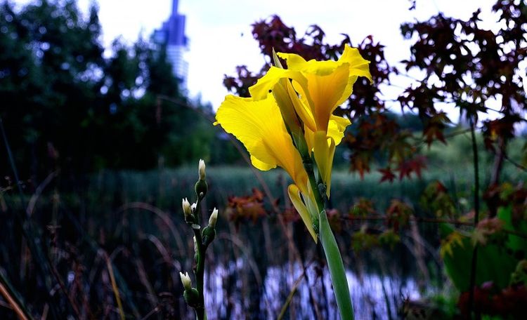 生肖|8月份，始于心动，终于白首，解开心结，爱情再次开花结果的生肖
