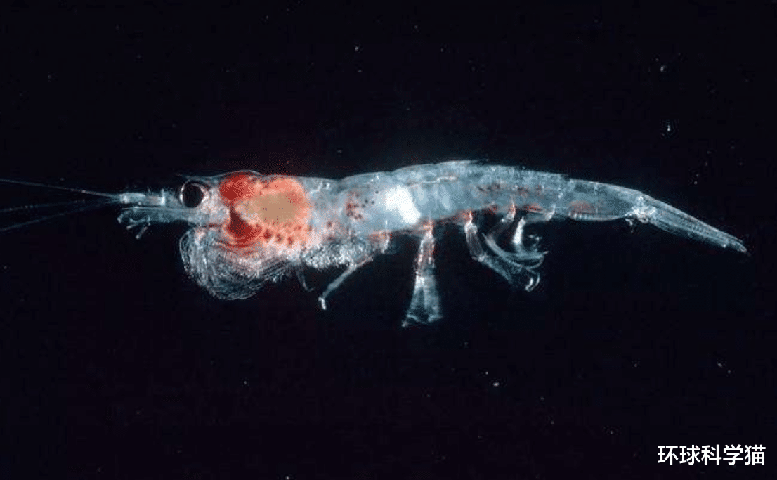 [科学家]地球上发现“第二世界”，还有神秘生物，地球生命界限或被突破