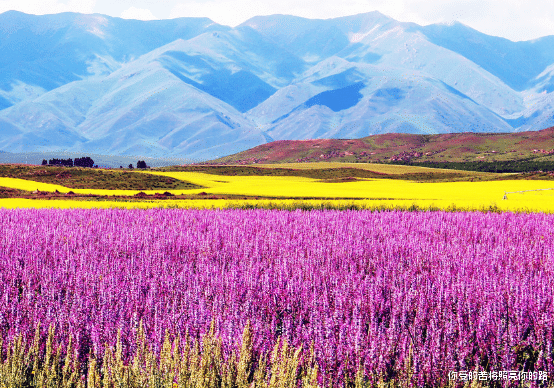 运势|8月中旬运势节节高，4属相贵人八方来，把握住好运，生活乘风破浪