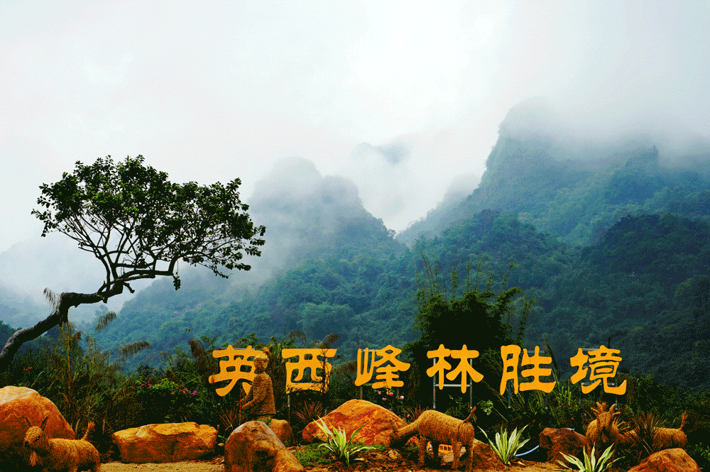 英西峰林|藏在清远英西峰林的绝美浪漫粉色花海，走入其中仿佛进入爱丽丝仙境。