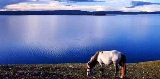 【】这首歌曾是许多人的手机铃声，歌曲背后动人的故事却没几人知道