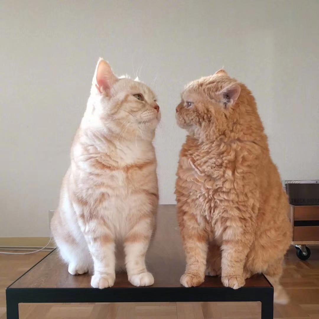 生气了，哄不好的那种