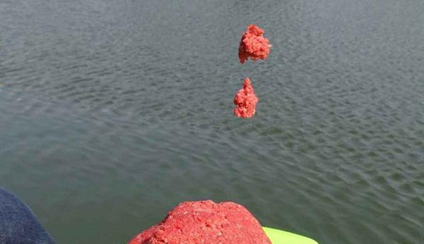 鲫鱼|冬季钓鱼有秘诀：“9字秘诀”看懂冬钓套路，天冷也能连竿上鱼！