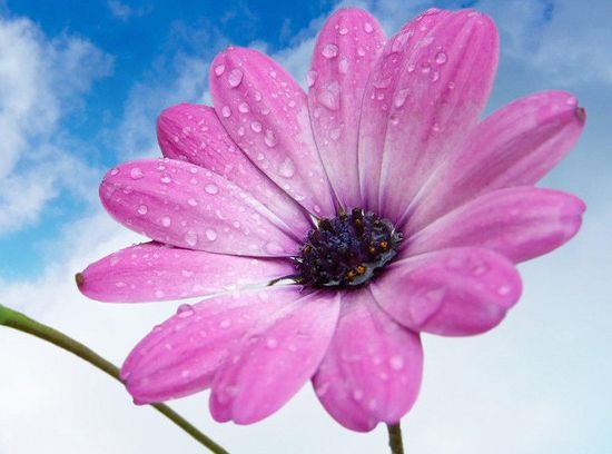 属兔|9月开始，4属相财运亨通，贵人不请自来，生活越来越富贵