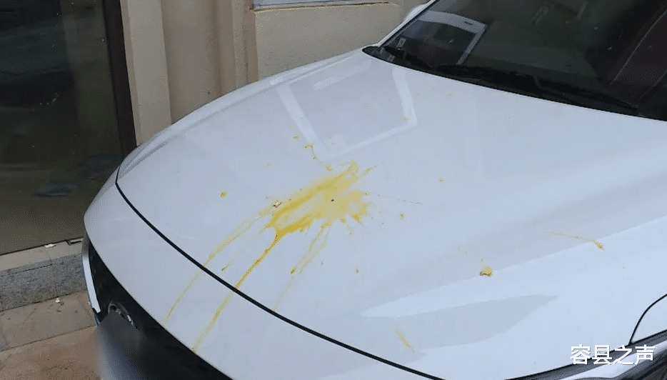 容县之声|广西一女士被鸡蛋砸伤,在同一小区遭遇8次高空抛物!肇事者找到了