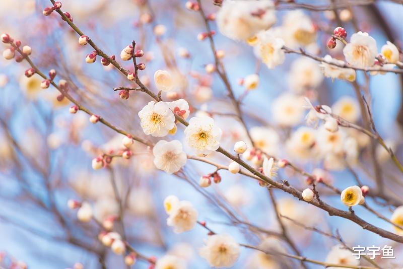 生肖|8月28号福大命大，财气横生，喜多财旺，3生肖富贵吉利，有钱有势