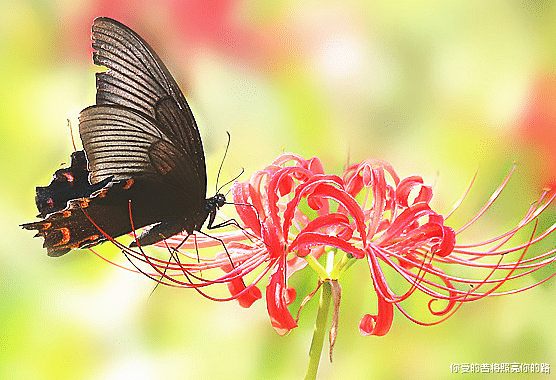 |7月份开始，4属相财大气粗，生意事业格外好，家大业大，大吉大利