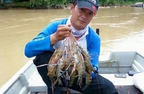 #湄公河#来自越南人的困惑：湄公河里的大虾都要比手臂粗了，中国的人怎么就不来吃呢？